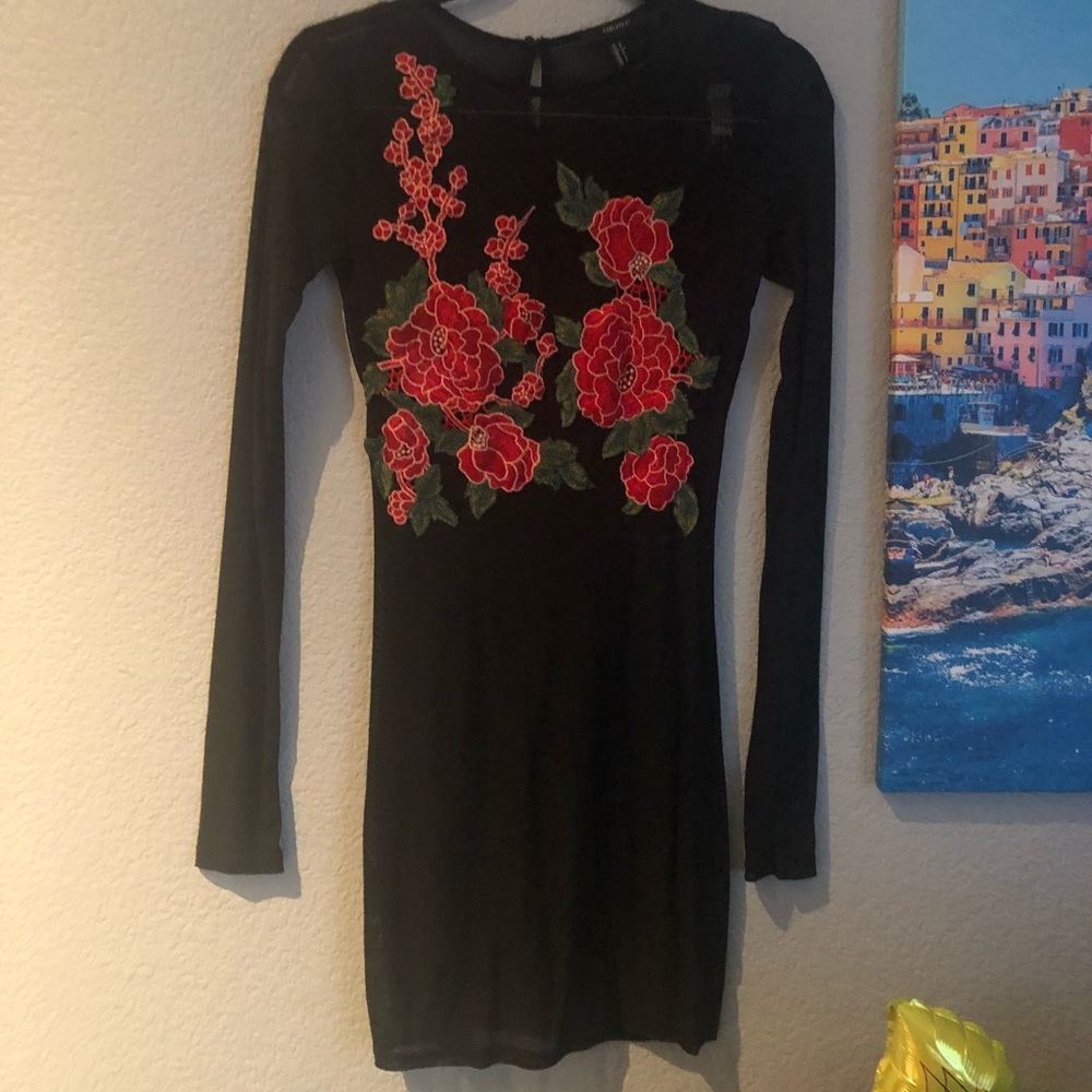 Forever 21 Embroidered Dress